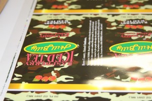 shrinkwrapcon2015_1240
