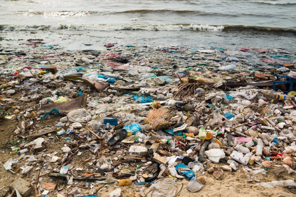 sustainable packaging materials